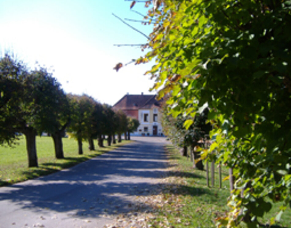 Alleenparadies Schloss Bertholdsheim (Foto: Manfred Berger)