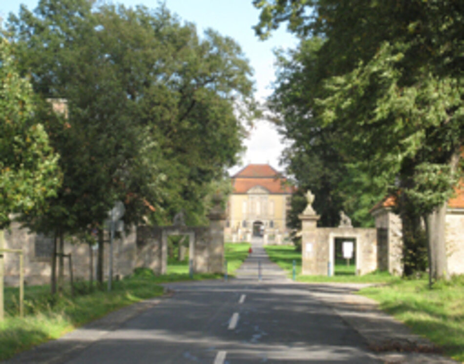Lindenallee von Fulda-Bronnzell zum Schloss Fasanerie (Foto: Irene Müller)