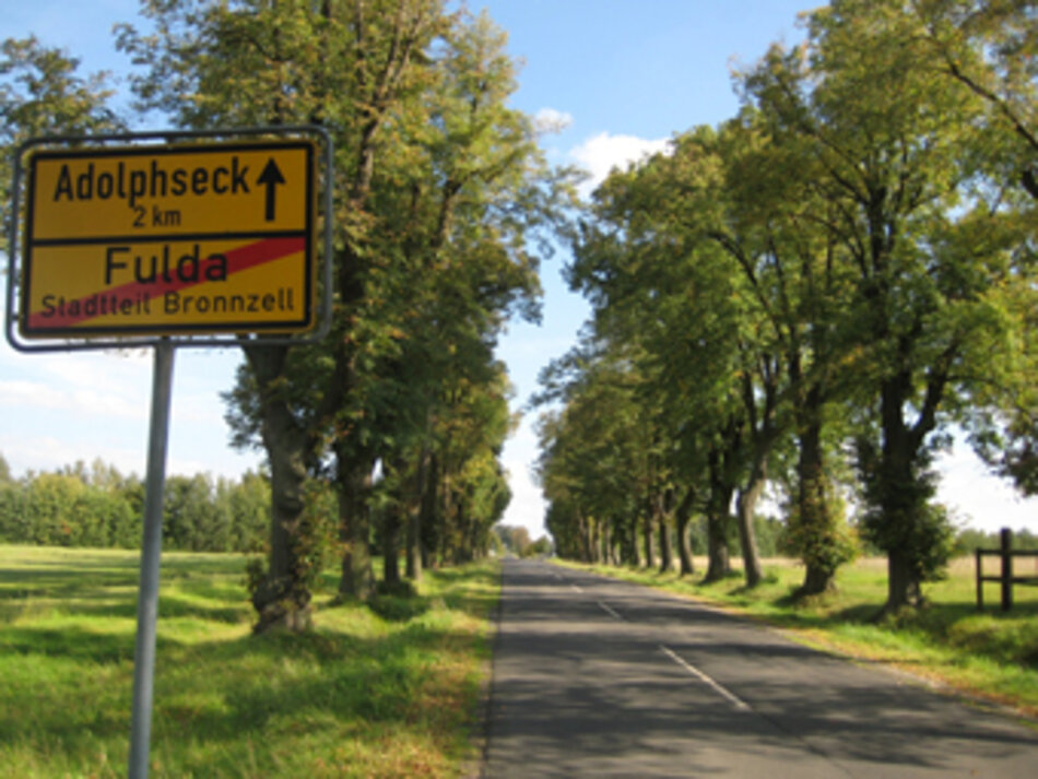 Lindenallee von Fulda-Bronnzell zum Schloss Fasanerie (Foto: Irene Müller)
