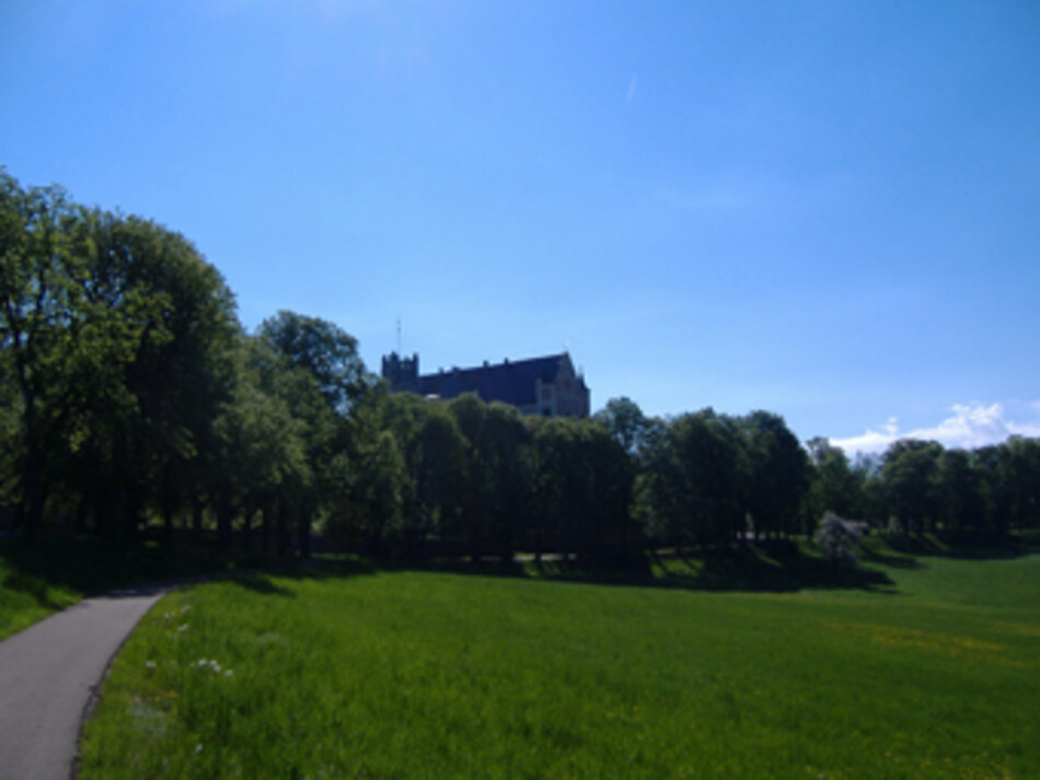 Alleenparadies Schloss Taxis (Foto: Manfred Berger)