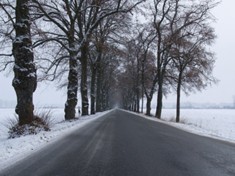 Wellenburger Allee in Augsburg (Foto: Rainer Lobinger)