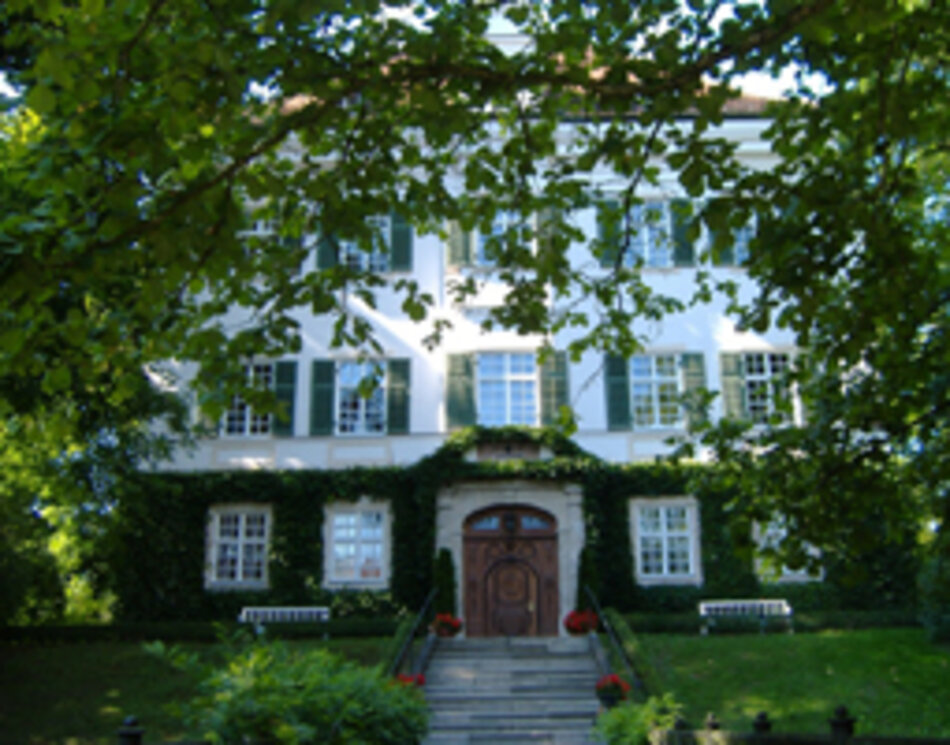 Eschenallee am Schloss Affing (Foto: Manfred Berger)