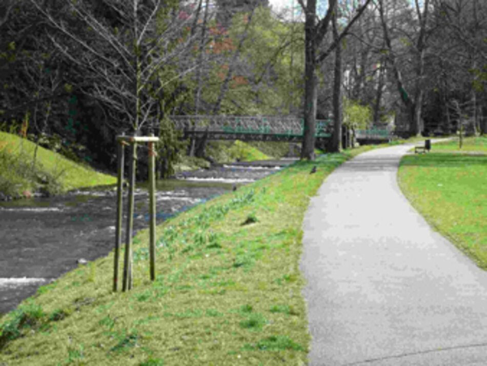 Lichtentaler Allee in Baden Baden (Foto: Jochen Hanisch)